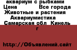 аквариум с рыбками › Цена ­ 1 000 - Все города Животные и растения » Аквариумистика   . Самарская обл.,Кинель г.